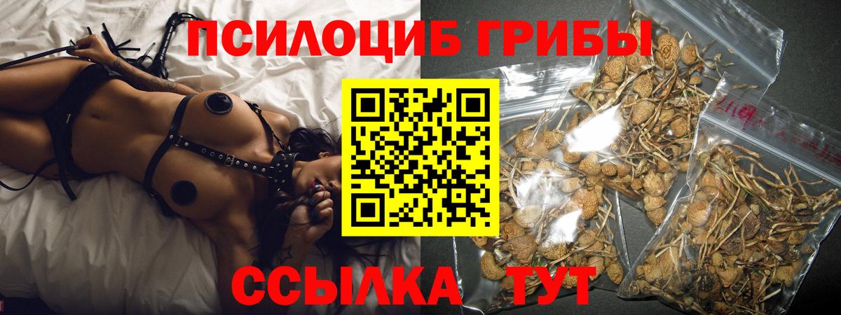 Муром  Галлюциногенные грибы ЛСД  Вход с VPN 